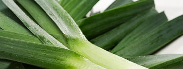 Leek