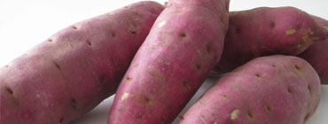 Japanese Yam